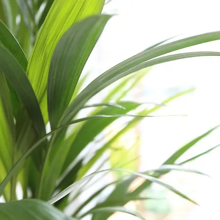 Sundial Гостевой дом